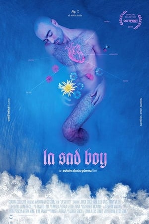 La Sad Boy