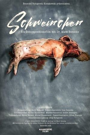 Schweinchen