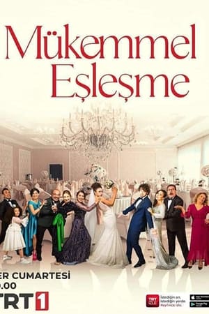 Mükemmel Eşleşme
