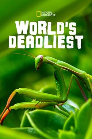 World's Deadliest第3季