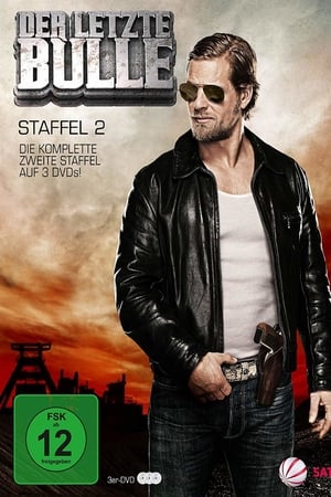 Der letzte Bulle第2季