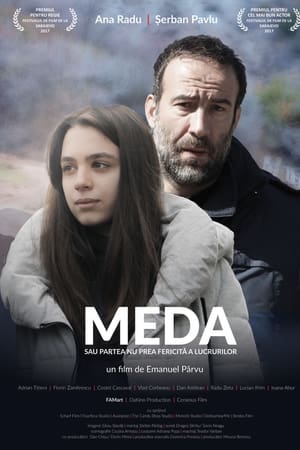 Meda sau Partea nu prea fericita a lucrurilor