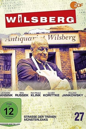 Wilsberg