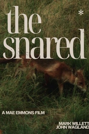 The Snared