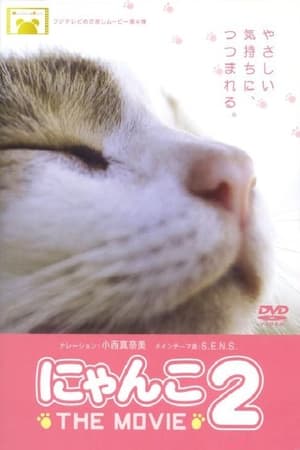 猫咪物语2