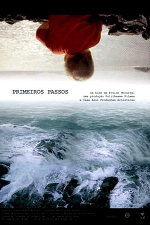 Primeiros Passos