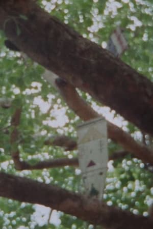 リンガラジャ～空なるものの愛に捧げる詩