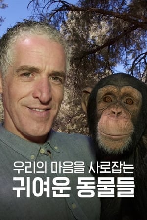 우리의 마음을 사로잡는 귀여운 동물들
