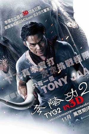 冬荫功2：拳霸天下