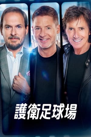 护卫足球场