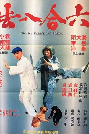 六合八法