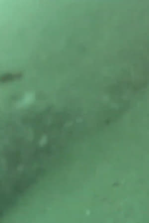 البحر