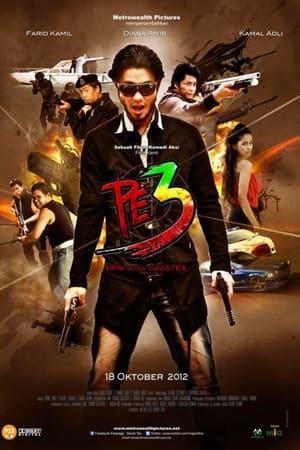 PE3