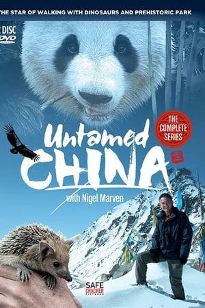 未发现的中国