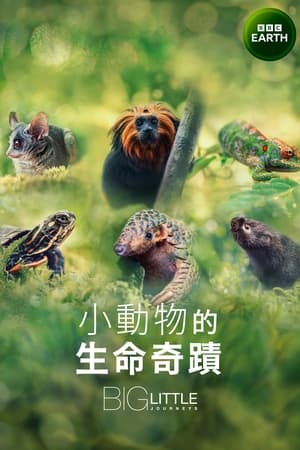 大大小小的旅行