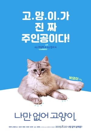 只有我没有猫