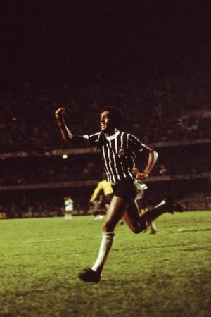 23 Anos em 7 Segundos