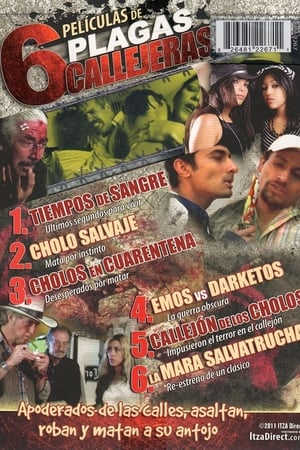 Cholos en cuarentena