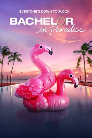 Bachelor in Paradise第8季