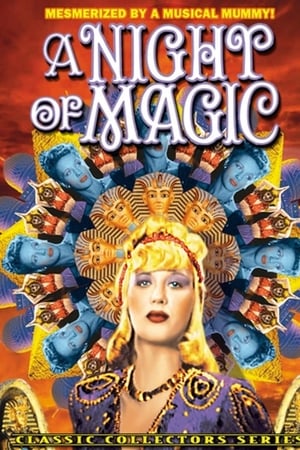 A Night of Magic