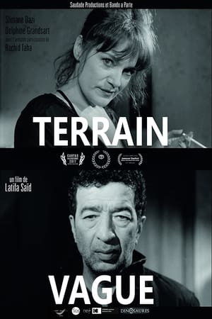 Terrain Vague