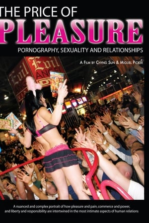 The Price of Pleasure: Pornography, Sexuality & Relationships
