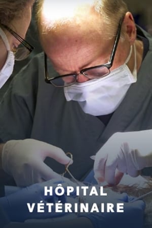 Hôpital vétérinaire