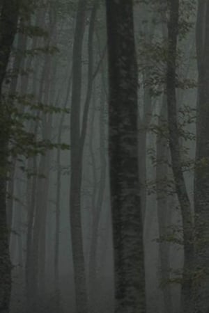Refuge II: The Ice Path