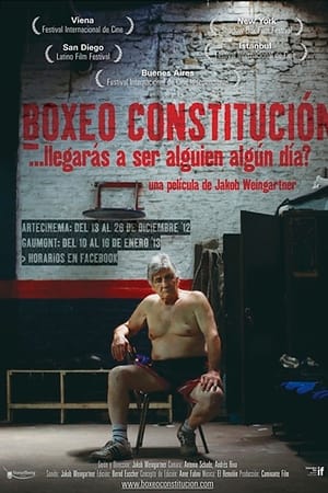Boxeo Constitución