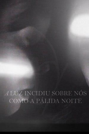 A Luz Incidiu Sobre Nós Como A Pálida Noite