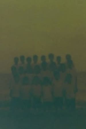 Class Picture