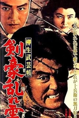 柳生武芸帳　剣豪乱れ雲