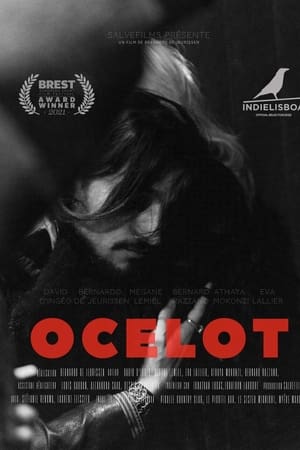 Ocelot