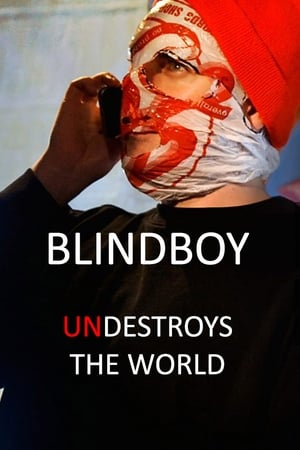 Blindboy Undestroys the World