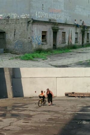Podwórka