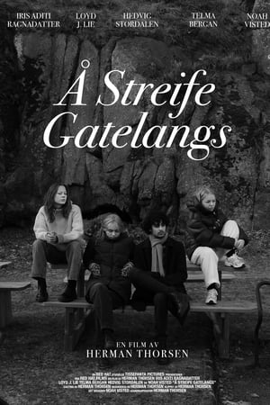 Å Streife Gatelangs