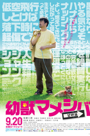 豆柴小犬
