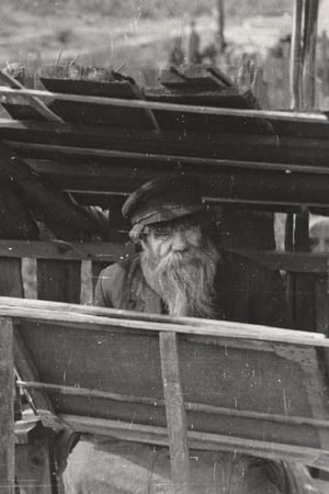 Иван Селиванов