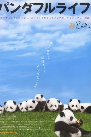 大熊猫的生活