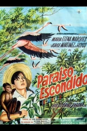 Paraíso escondido