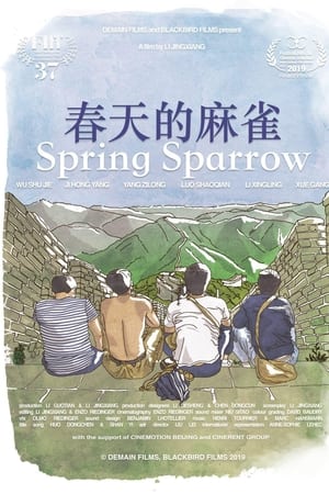春天的麻雀