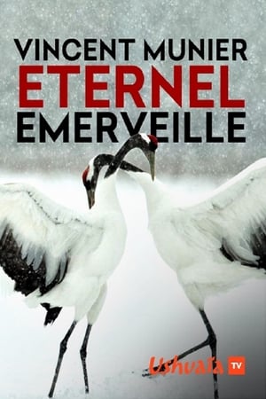 Vincent Munier, éternel émerveillé