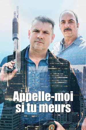 Chiller au Québec avec Félipé