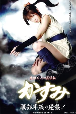 真田女忍者霞传5：服部半藏的逆袭