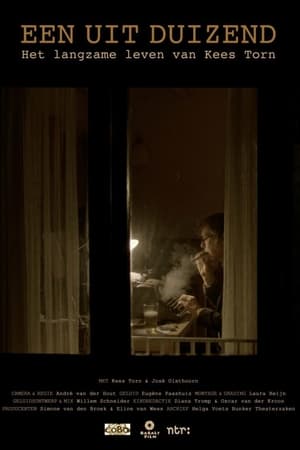 Het Langzame Leven van Kees Torn