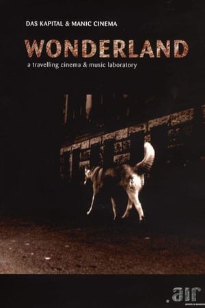 Wonderland