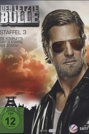 Der letzte Bulle第3季