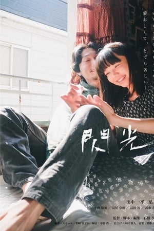 閃光 2018