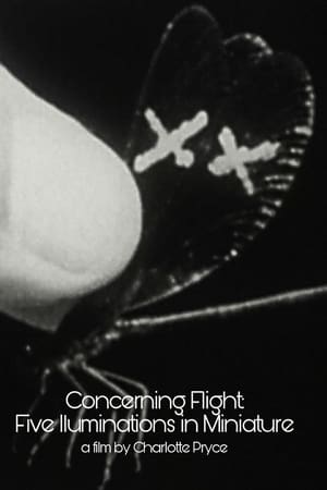 Concerning Flight: Five Illuminations In Miniature