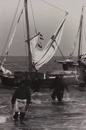 Hollandse Visservloot